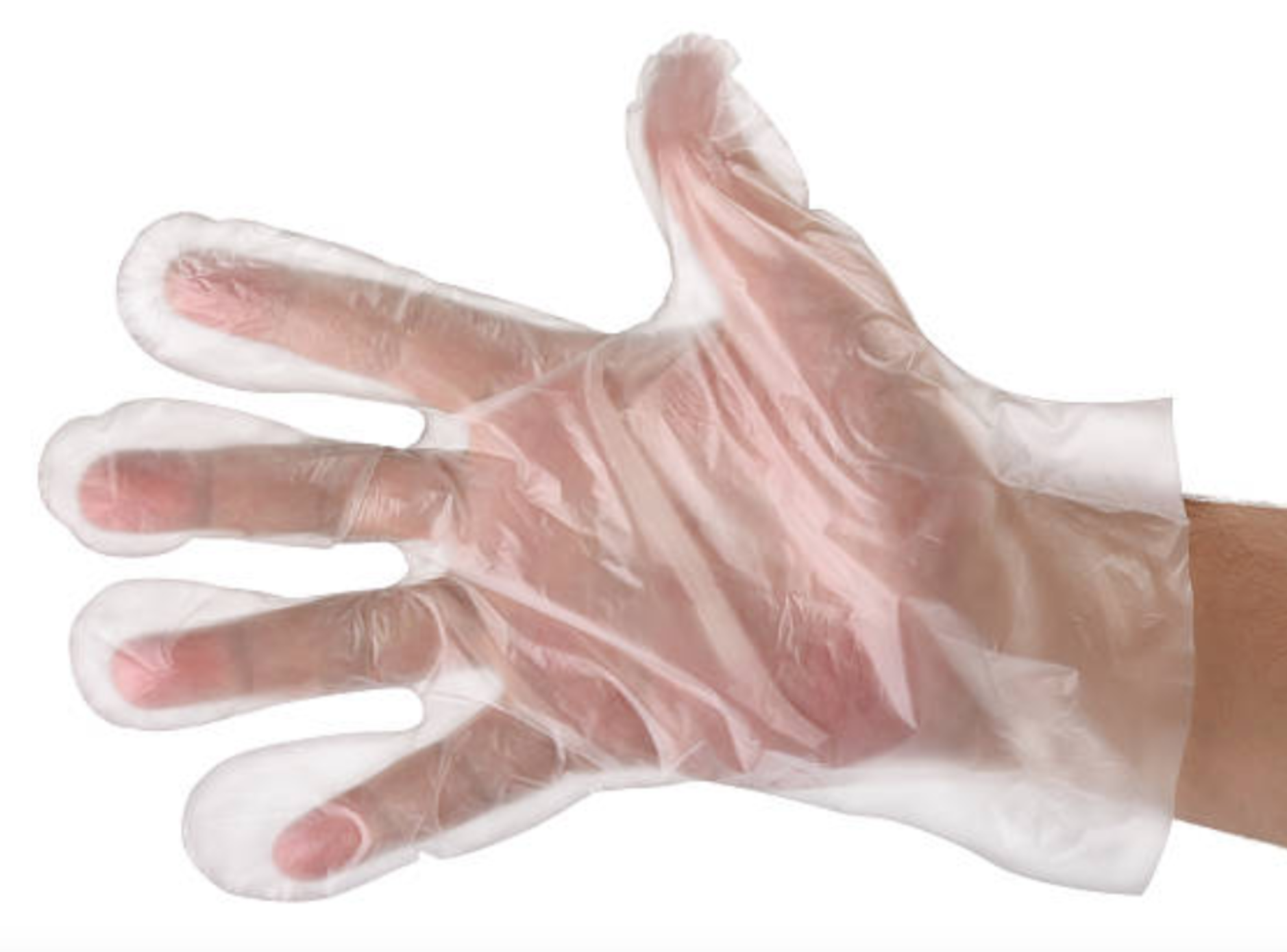 Poly Gloves 1 Poly Gloves 1